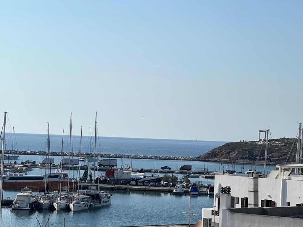 Naxos Best View Apartment Naxos City 外观 照片